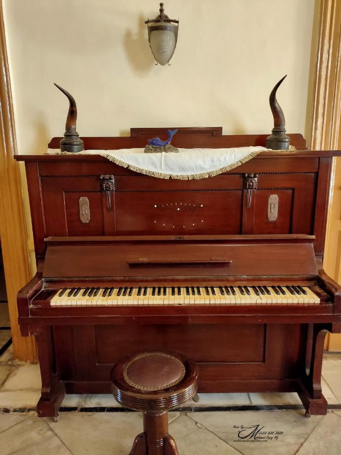 אלכסנדריה Clement'S House Hostel מראה חיצוני תמונה
